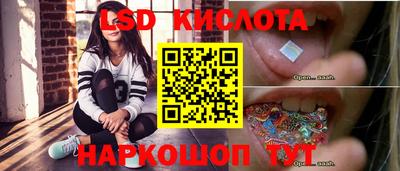 шишки Бийск