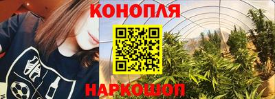 шишки Бийск