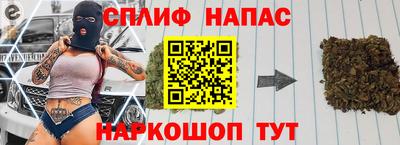 шишки Бийск