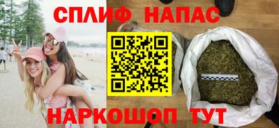шишки Бийск
