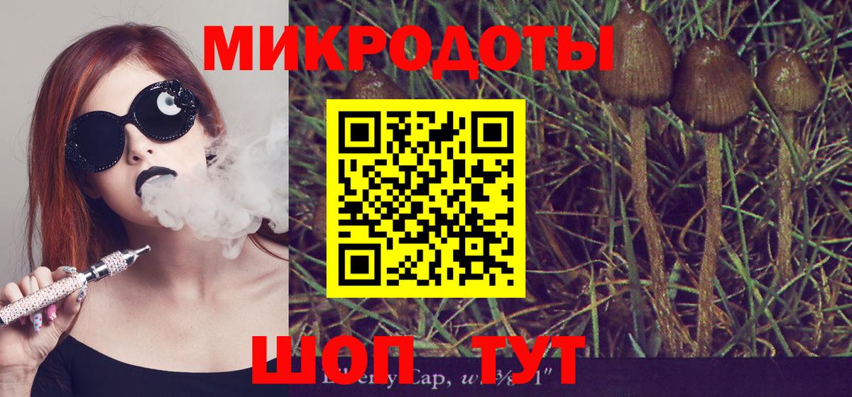 Псилоцибиновые грибы Cubensis Кинель