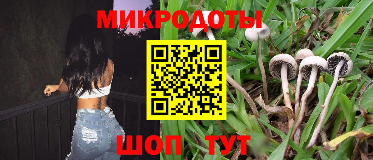 Галлюциногенные грибы мицелий  Вход с VPN  Кинель 